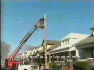 free watch tv online: hilarious, funny cats dan kittens