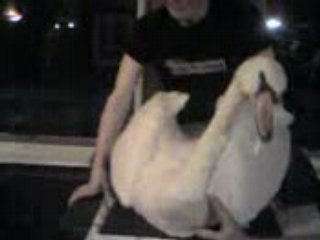 Tof et la vie privée des animaux