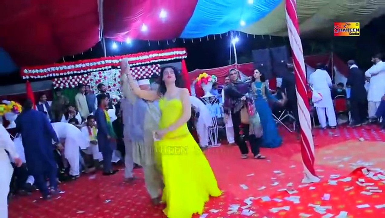 Dolphin Rani  Sady Sajan Naraz  Sariki Punjabi Song  New 2026