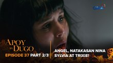 Apoy Sa Dugo: Bulilyaso ang plano ni Angel! (Episode 37 - Part 2/3)