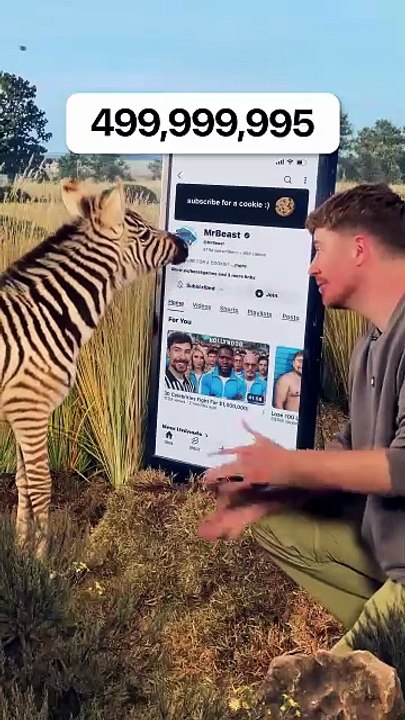 Will a Zebra Subscribe to me - MrBeast (1080p, h264)