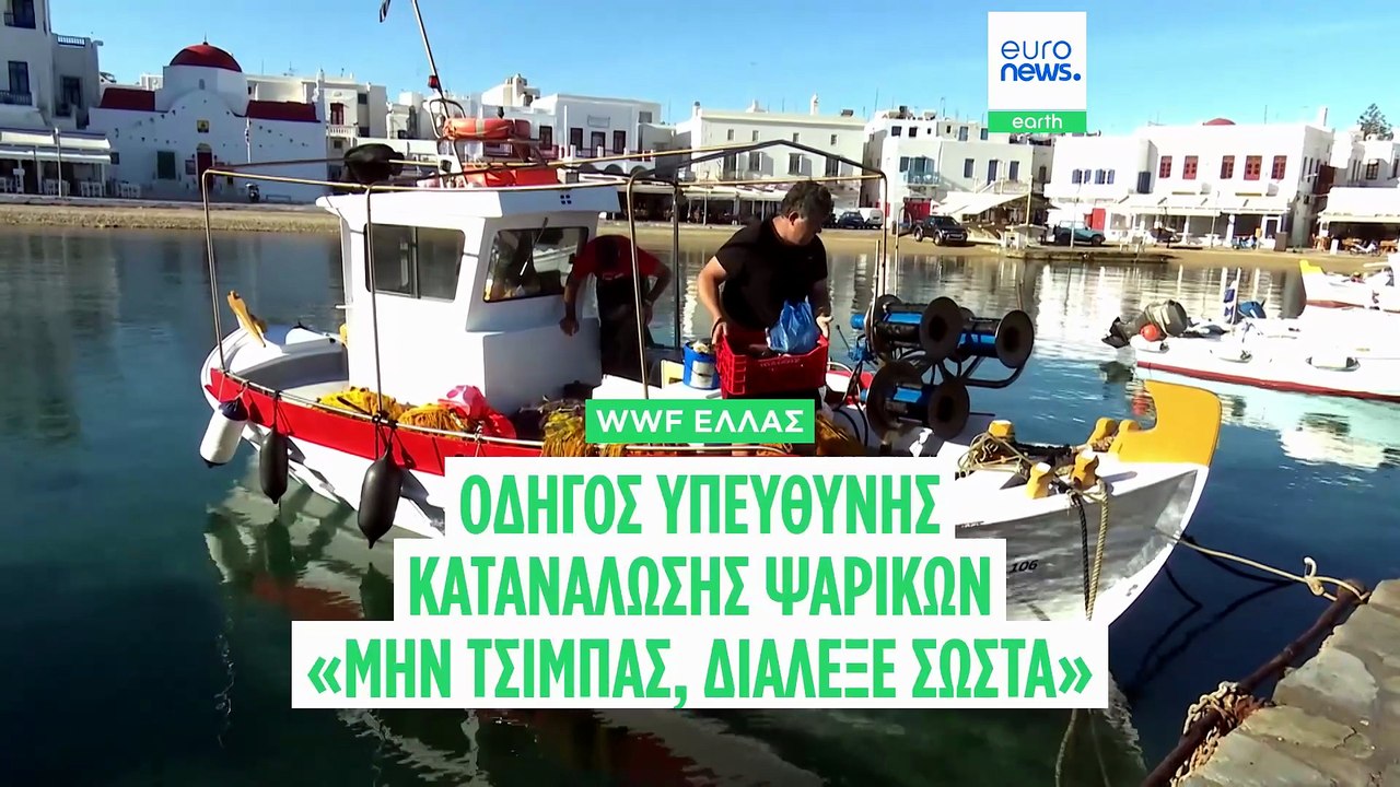 WWF Ελλάς: Οδηγός για την κατανάλωση ψαρικών ...