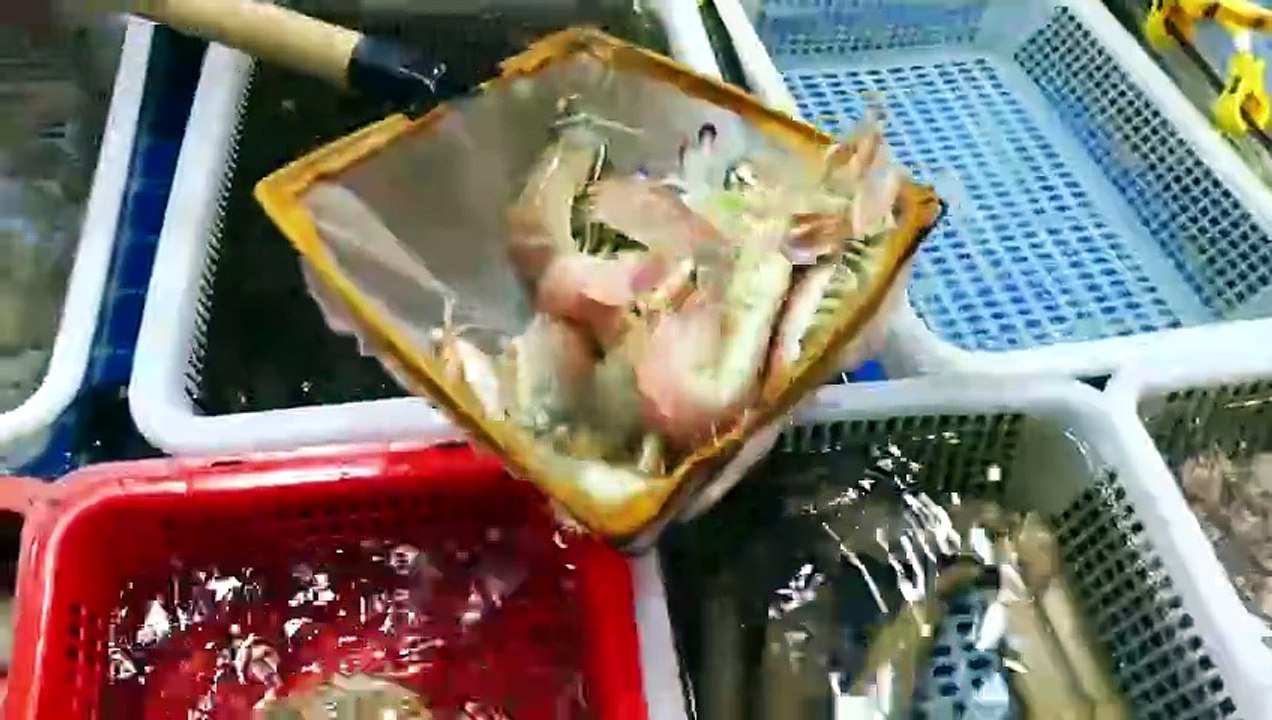 ALIEN PEACOCK MANTIS SHRIMP Chinese Street Food Xiamen China