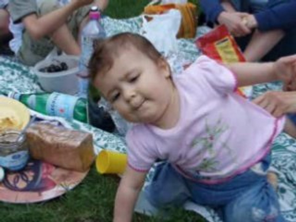 PicnicAHP