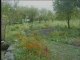 Miniature DailyMotion