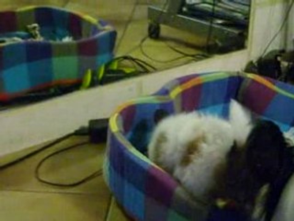 Dolly se voit dans le miroir