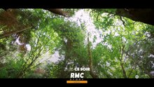 Non élucidé