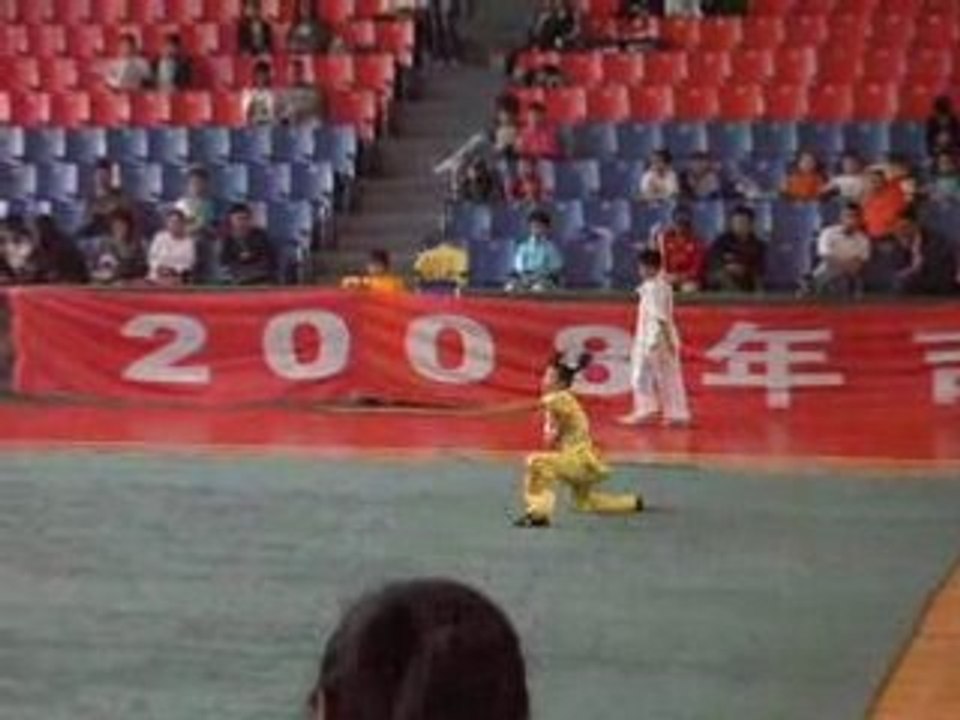 Wushu junior lance