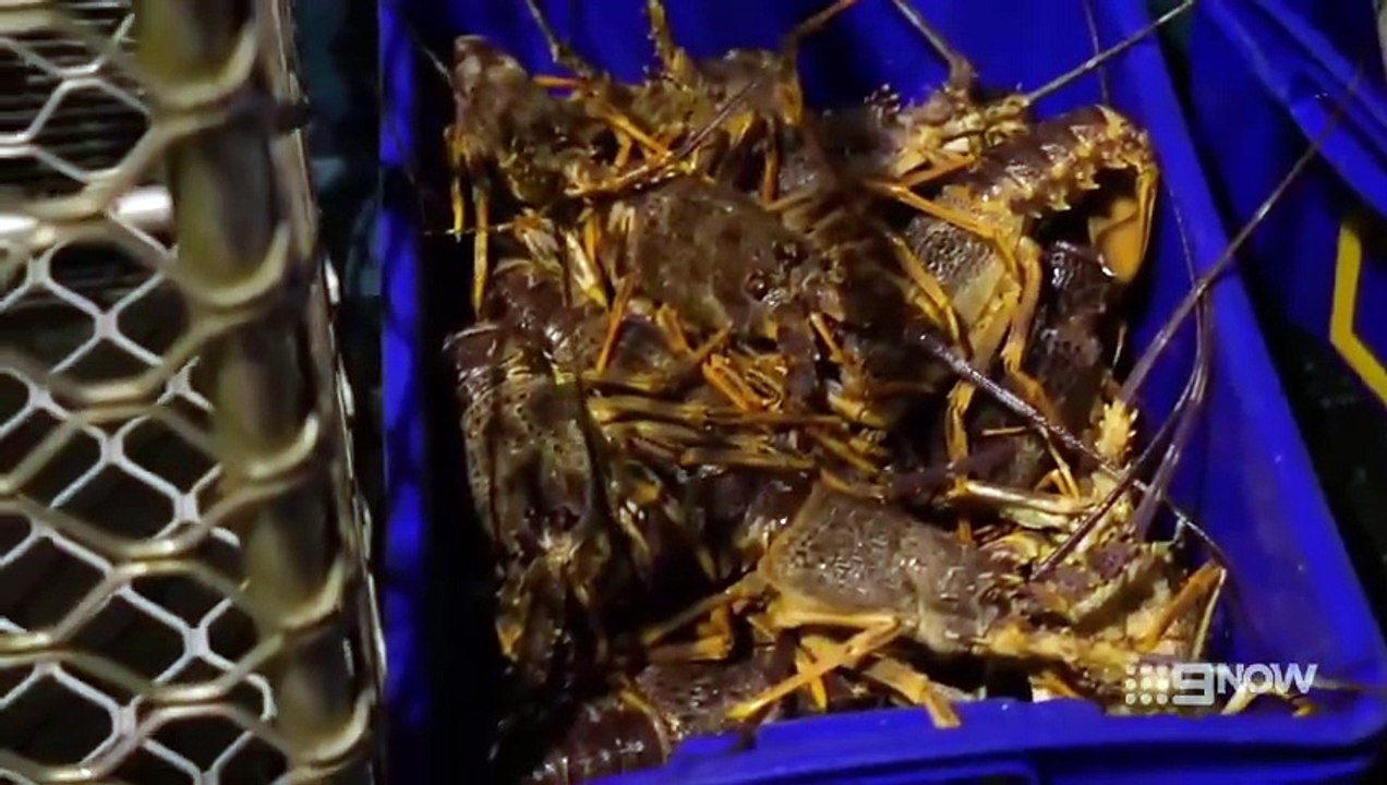 Aussie Lobster Men - Season 5 Episode 3