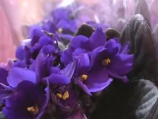 Fete mere au club de l'age d'or du cateau