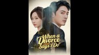 When a Divorce Lawyer Says 'I Do' Chinese Drama