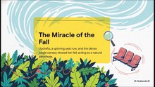 The Girl Who Fell From The Sky