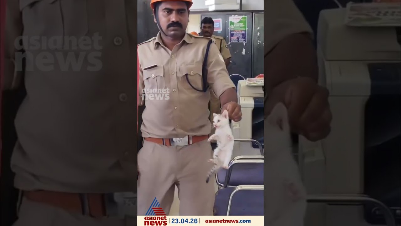 പത്തനംതിട്ട കളക്ടറേറ്റിലെ ഷെയ്ഡിൽ കുടുങ്ങിയ പൂച്ചക്കുട്ടിക്ക് രക്ഷകരായി ഫയർ ഫോഴ്സ്