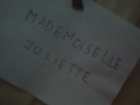 mademoiselle juliette
