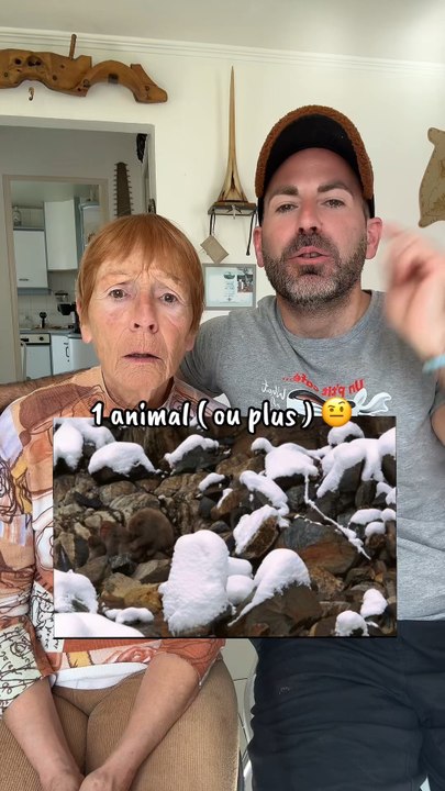 Vous les avez vu ?