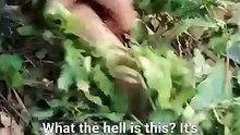 Keep Him Alive Or We All Die