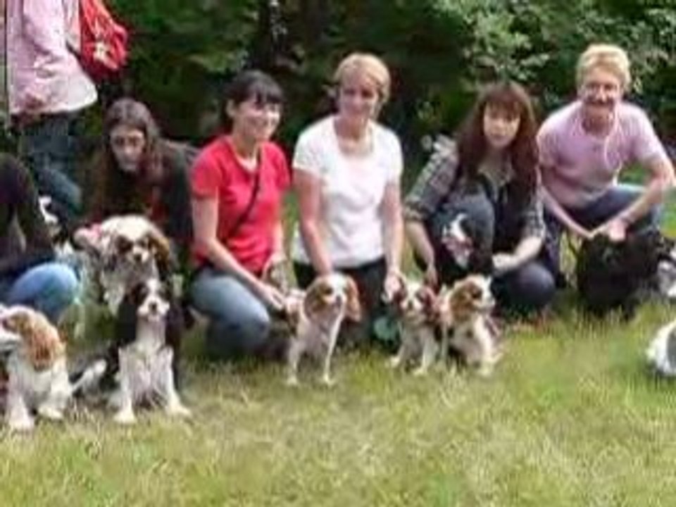 le pas bouger de nos toutous