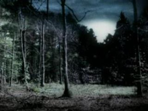 Radiohead - There There