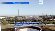 Поток нефти РФ в Словакию по трубопроводу "Дружба" возобновлен