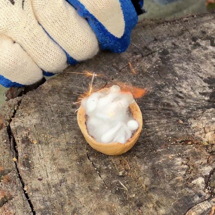 Exploring the Great Outdoors with a Confident Adventurer