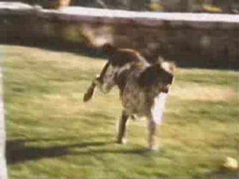 Renault la gamme pub 1986