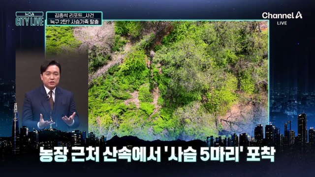 [김종석의 리포트]늑구 보고 배웠나?…사슴 가족도 탈출