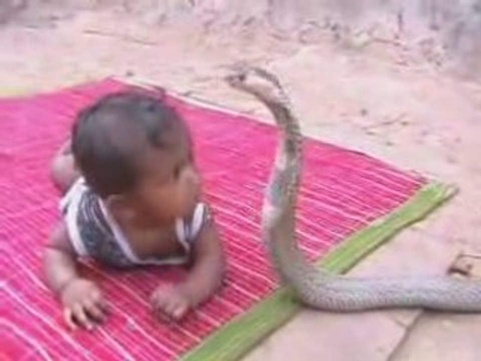 NOUVEAU JOUET INDIEN