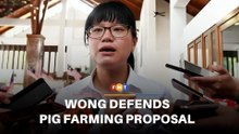 Seri Kembangan rep stands by pig farming proposal
