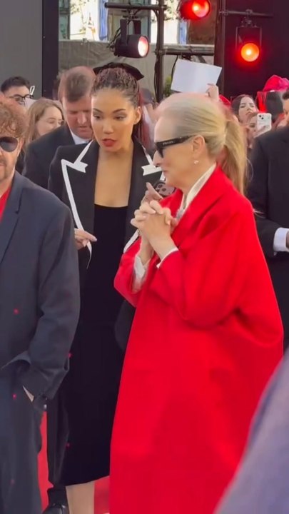 Meryl Streep Channels Miranda Priestly at 'The Devil Wears Prada 2' Premiere
