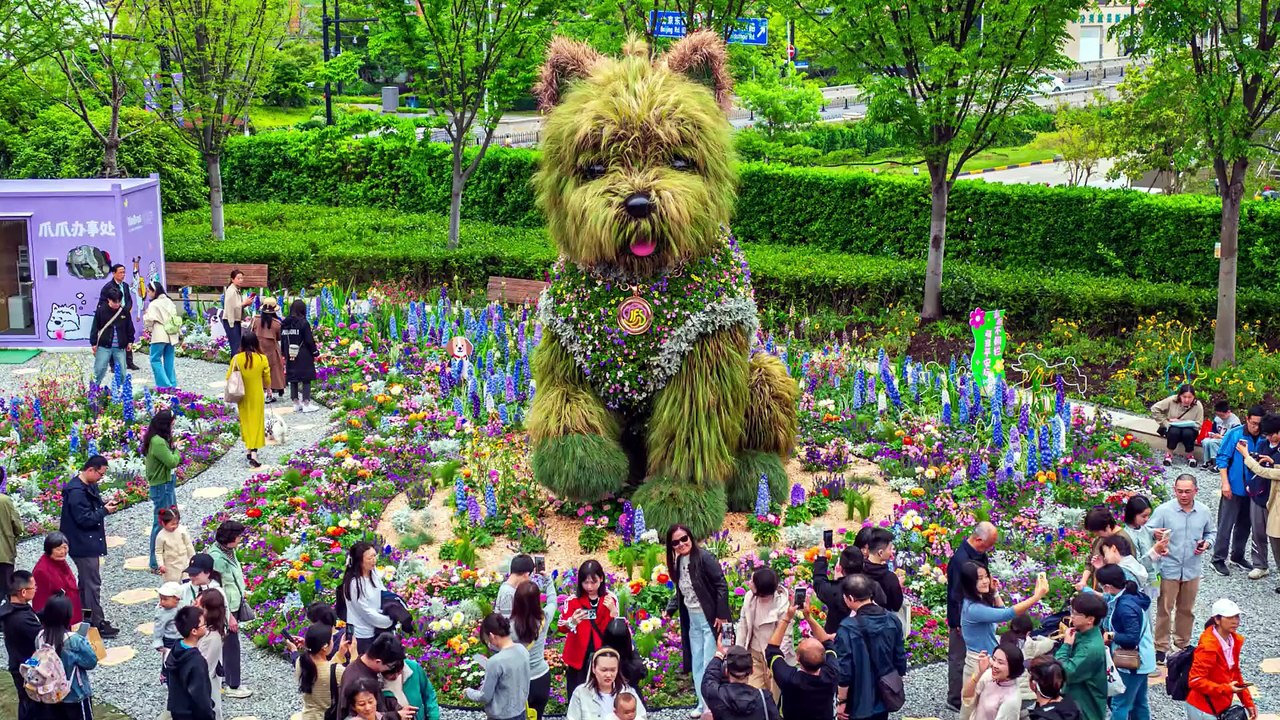 Riesiger Blumenhund wird zum Star der Shanghai International Flower Show