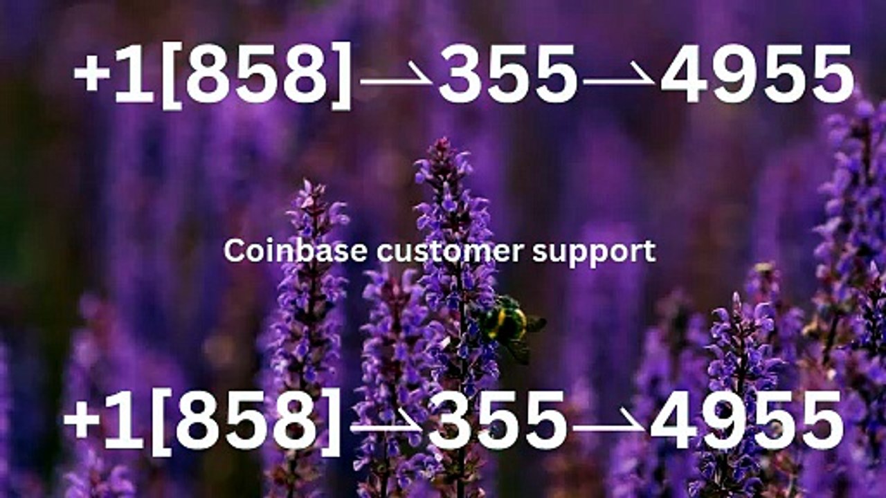 !!121//\\~【*Verified*】⋉अ[FULLGUIDE] Coinbase® WALLET© SuppORT℗ Phone Number