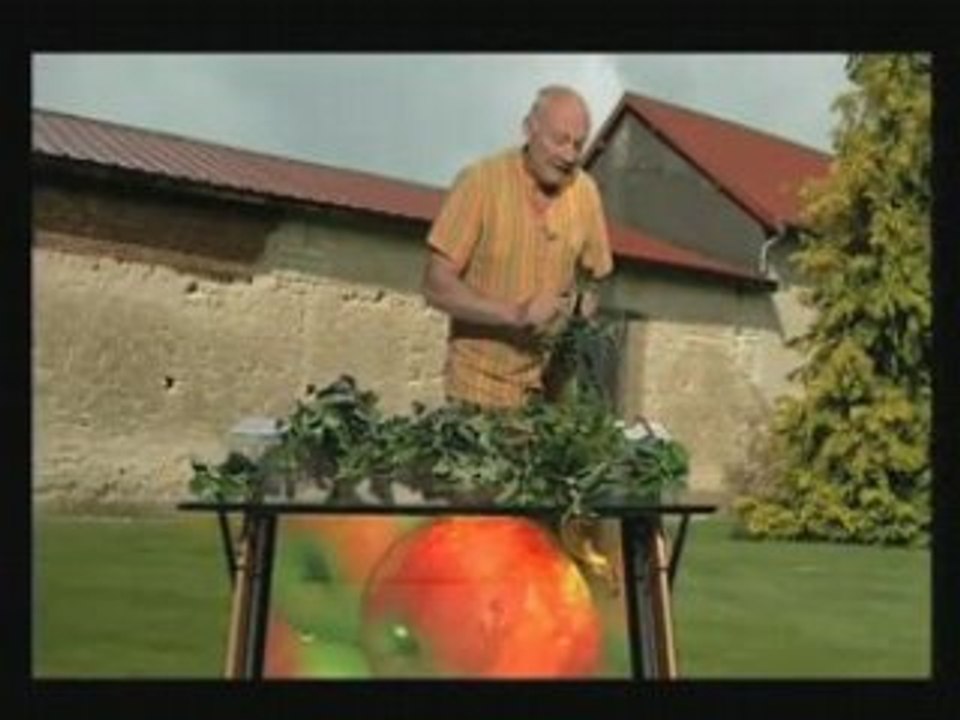 Avoir de beaux fruits - France 3