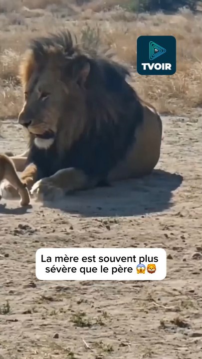Ça doit filer droit à la maison ! 😬😂
