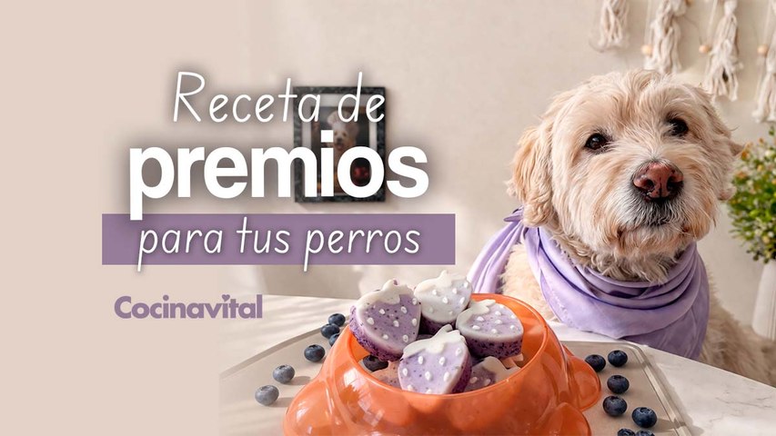 Premios caseros para perro con blueberries y yogurt