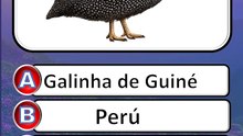 VERSÃO DIFÍCIL - QUIZ QUAL É O ANIMAL_ 😱
