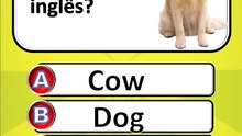TESTE seu nível de INGLÊS em 65 segundos! 😱