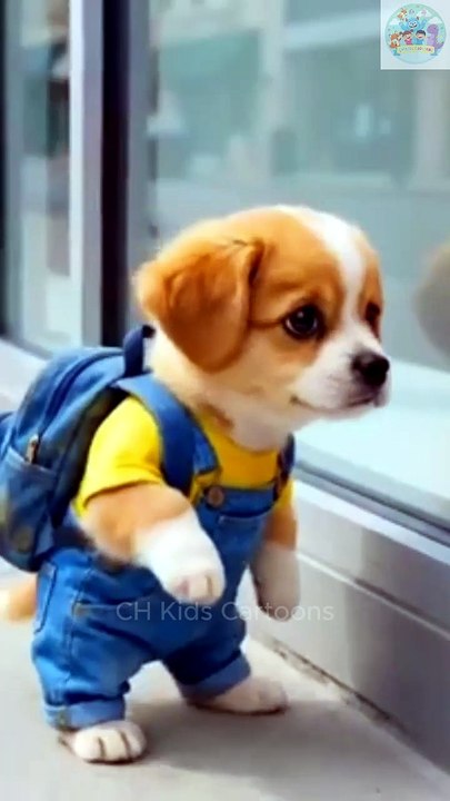 Poor Puppy Cried Over Torn Bag… Mom’s Love Will Melt You