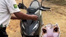 Saat Motor Jadi Tempat Berlindung Satwa Liar