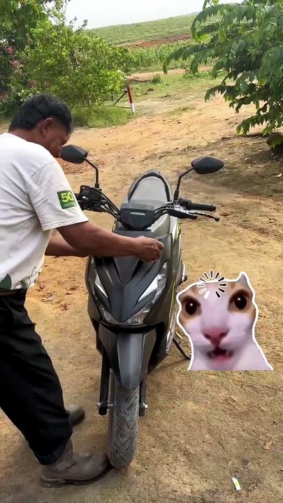 Saat Motor Jadi Tempat Berlindung Satwa Liar