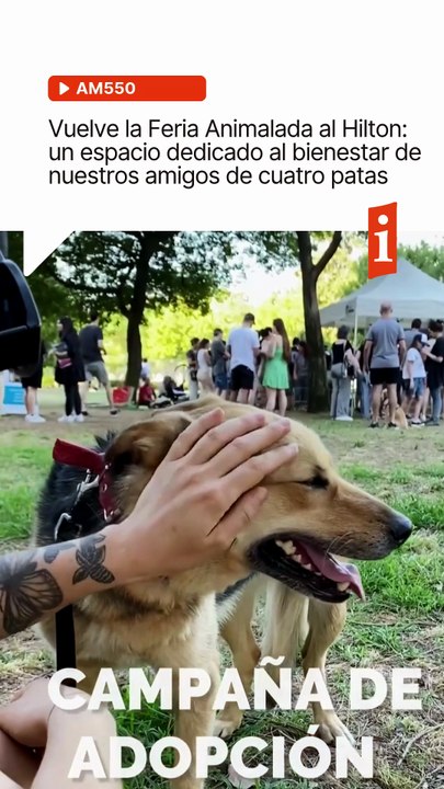 🐾 ¡Vuelve la Feria Animalada al Hilton! 🐾