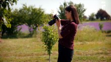 Destine cu parfum de lavandă - Episoadele 4, 5 și 6 de Joi, 23 Aprilie 2026 partea 2