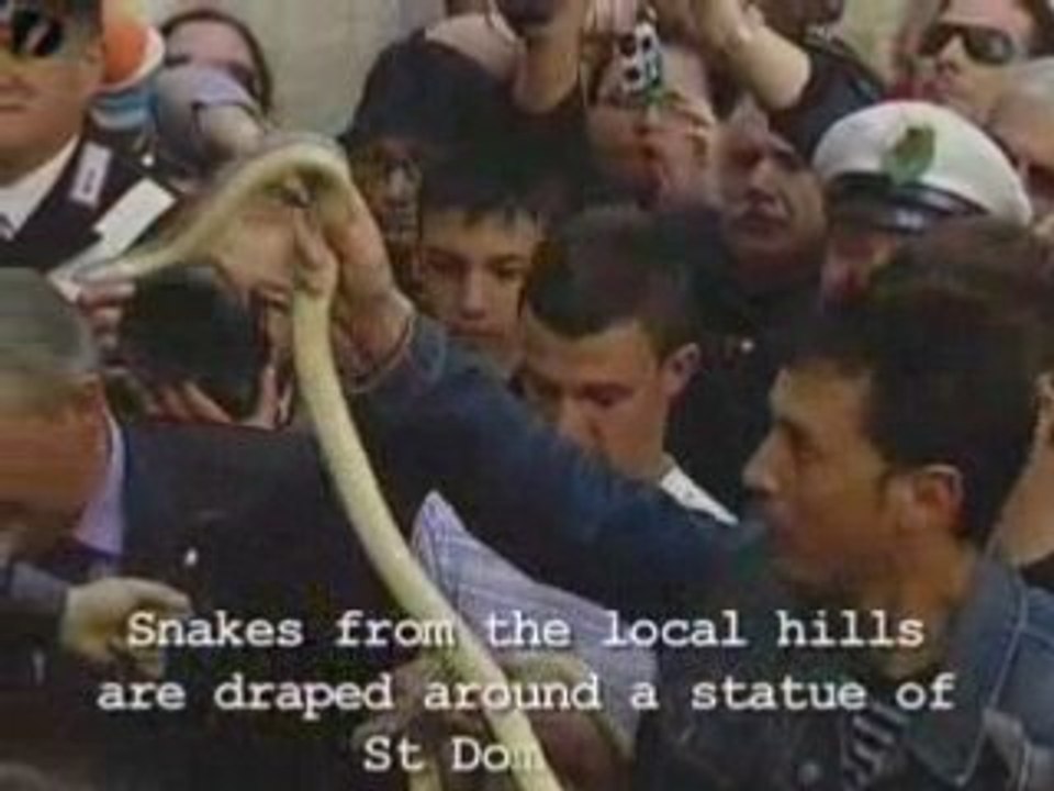 Holy Snakes!