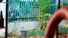 L_ Langoy_360P