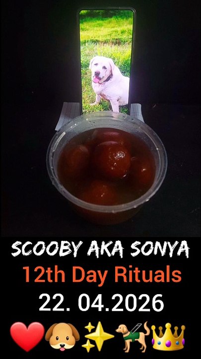 Scooby Aka Sonya ❤️🐶✨️🦮👑 | 12th Day Ritual On 22.4.2026 | Gulaab Jaam, & Malai Kulfi Many More