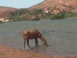 Visite des monuments