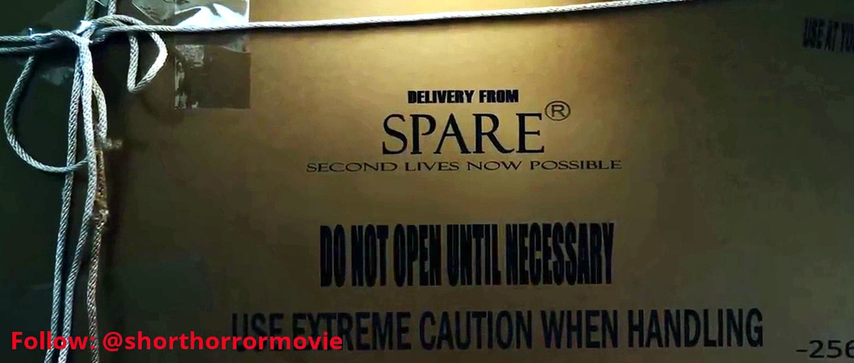 SPARE BODY Chilling Horror SHM