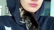 #kittens