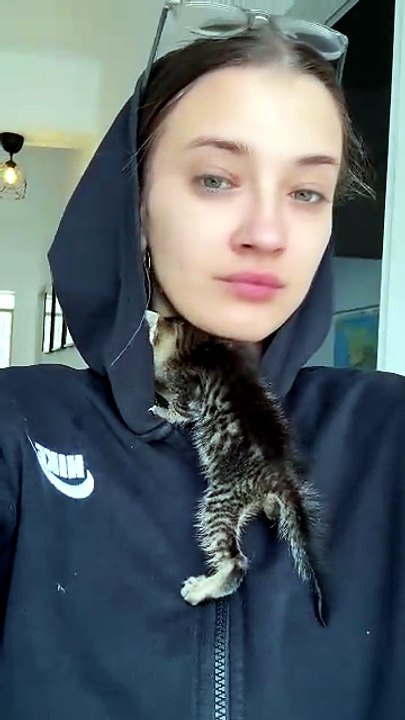 #kittens
