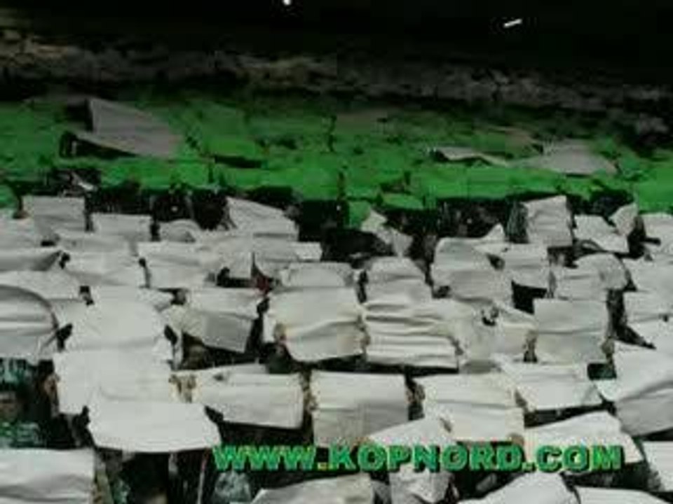 magic fans 91 ASSE Tifos