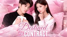 Destined By Contract 2026
